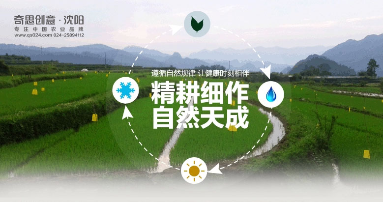 翠泉LOGO設(shè)計(jì)，大米LOGO設(shè)計(jì)，米業(yè)品牌策劃，沈陽(yáng)奇思創(chuàng)意
