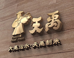 天禹logo設(shè)計