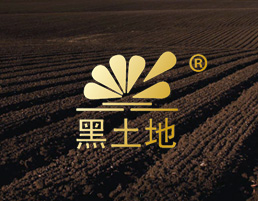 黑龍江北大倉米業(yè)有限公司