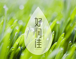 尚品優(yōu)稻，溫潤佳享——湖南常德金利米業(yè)好潤佳品牌策劃